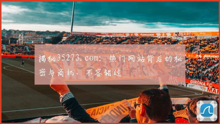 揭秘35273.com：热门网站背后的秘密与商机，不容错过