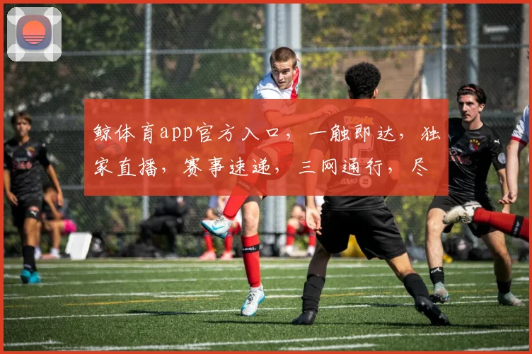 鲸体育app官方入口，一触即达，独家直播，赛事速递，三网通行，尽享体育盛宴